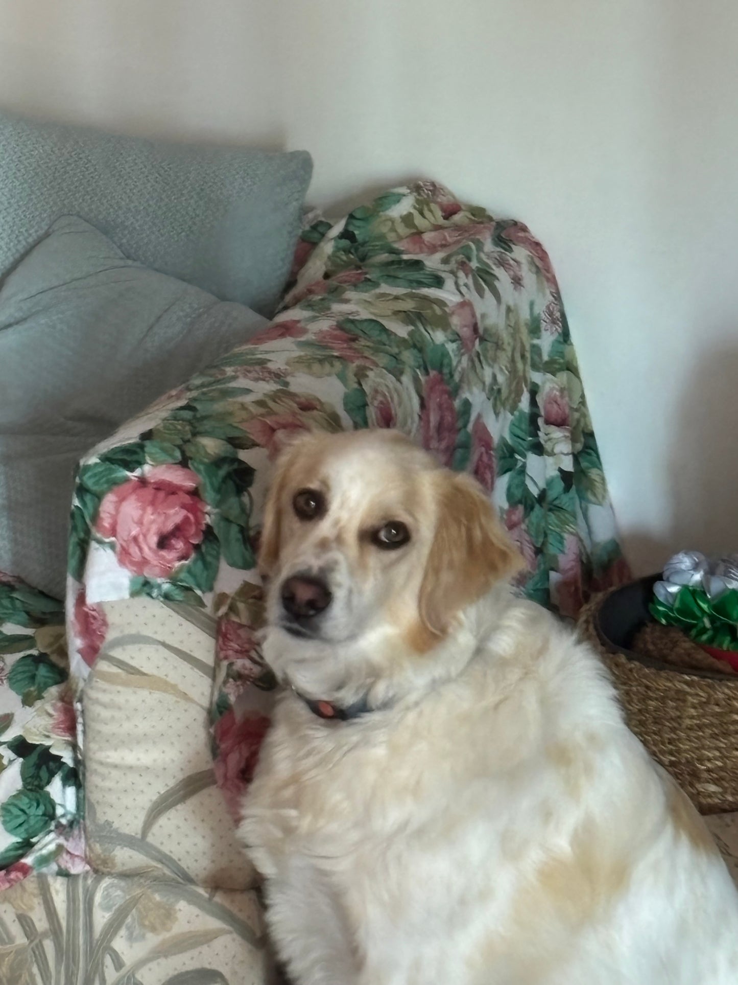 ARTICOLO DI PROVA
